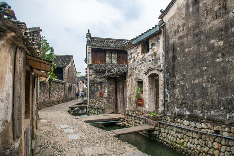 动物帮帮忙保卫家园