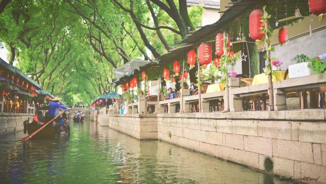 为什么螳螂“自杀”后,肚子里会钻出一条虫?看完真是大开眼界!- 专业问答平台
